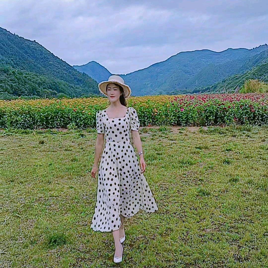 月光倾城