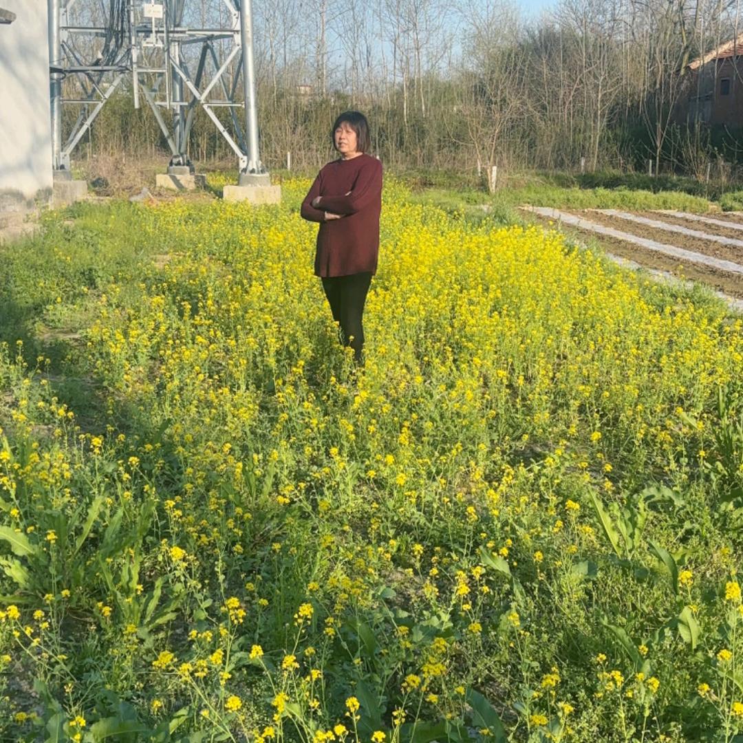 暖心向阳