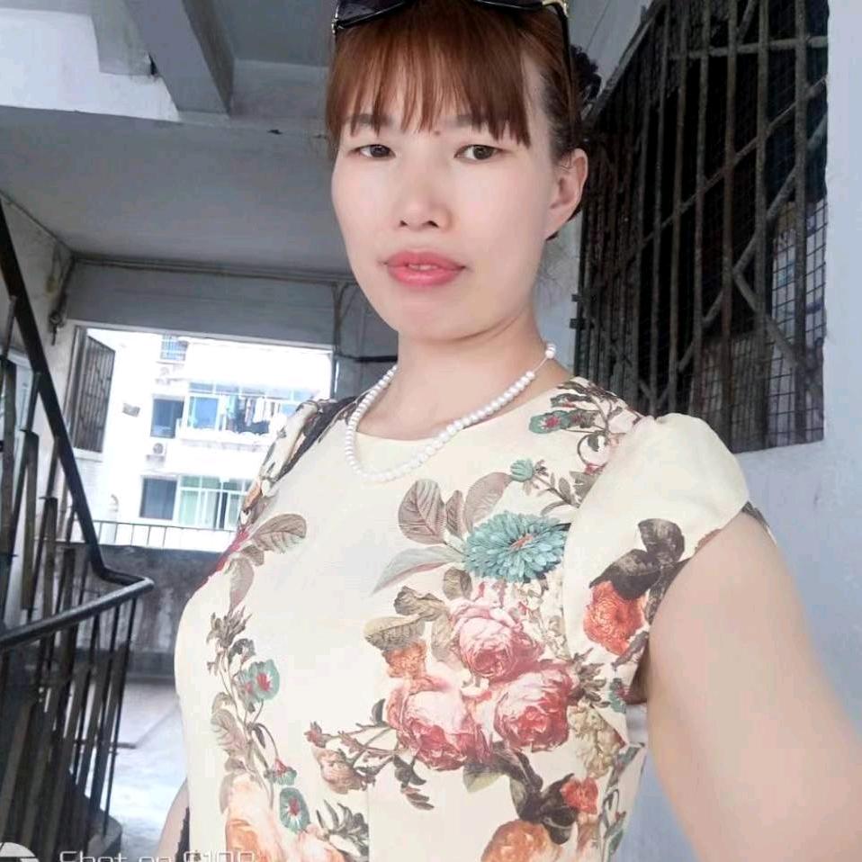 ໑🦋单只蝴蝶🦋