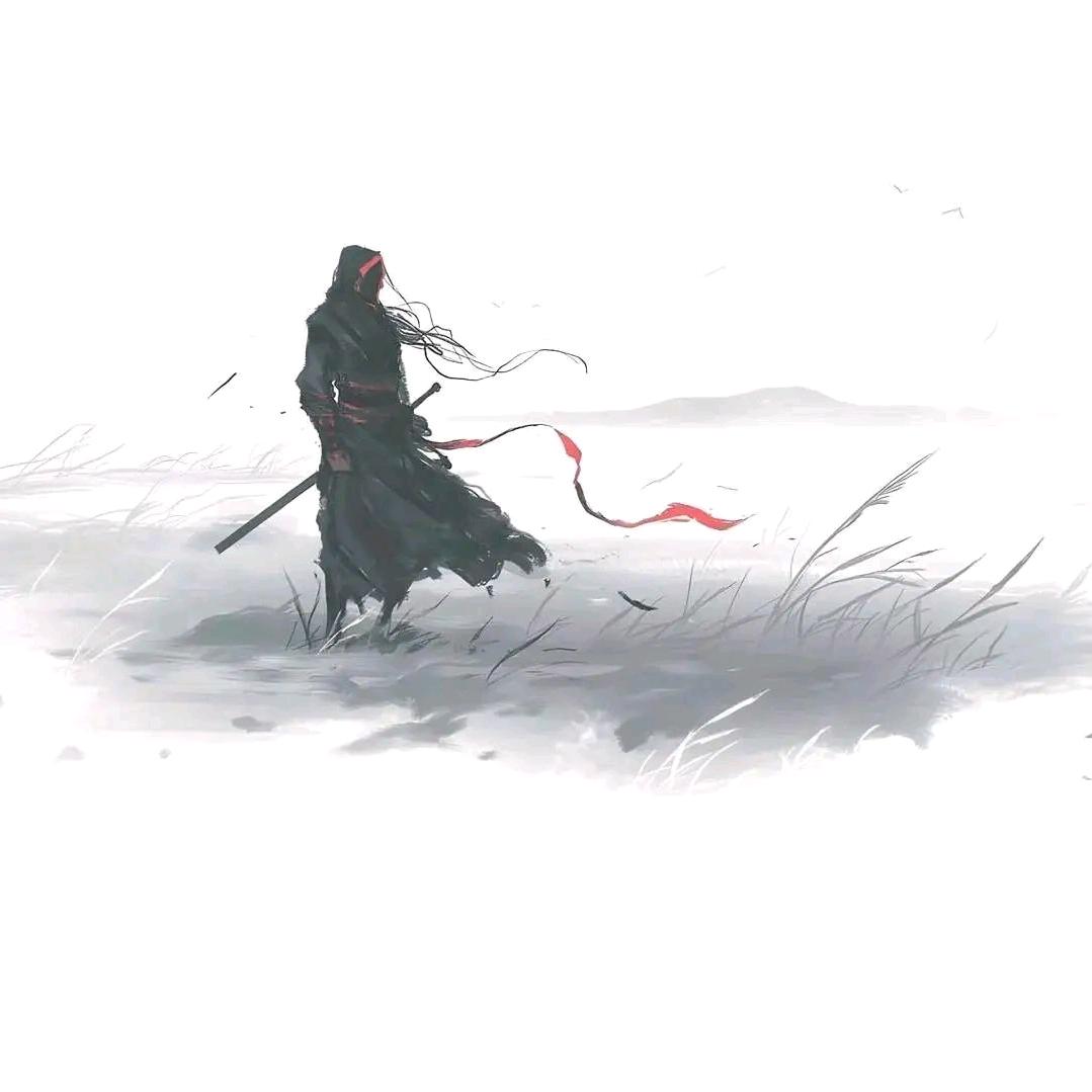 观沧海🌊