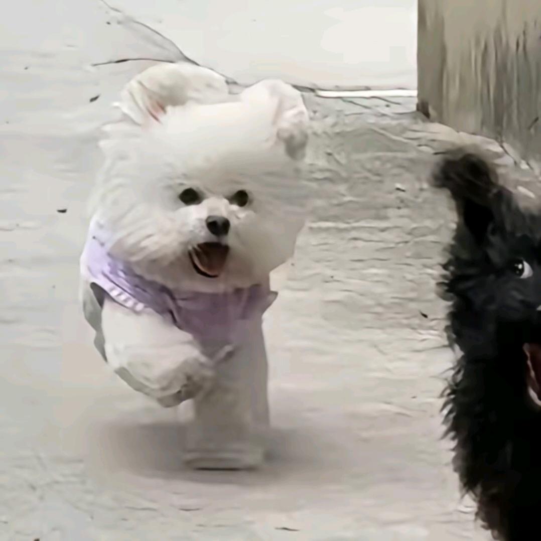 hui.