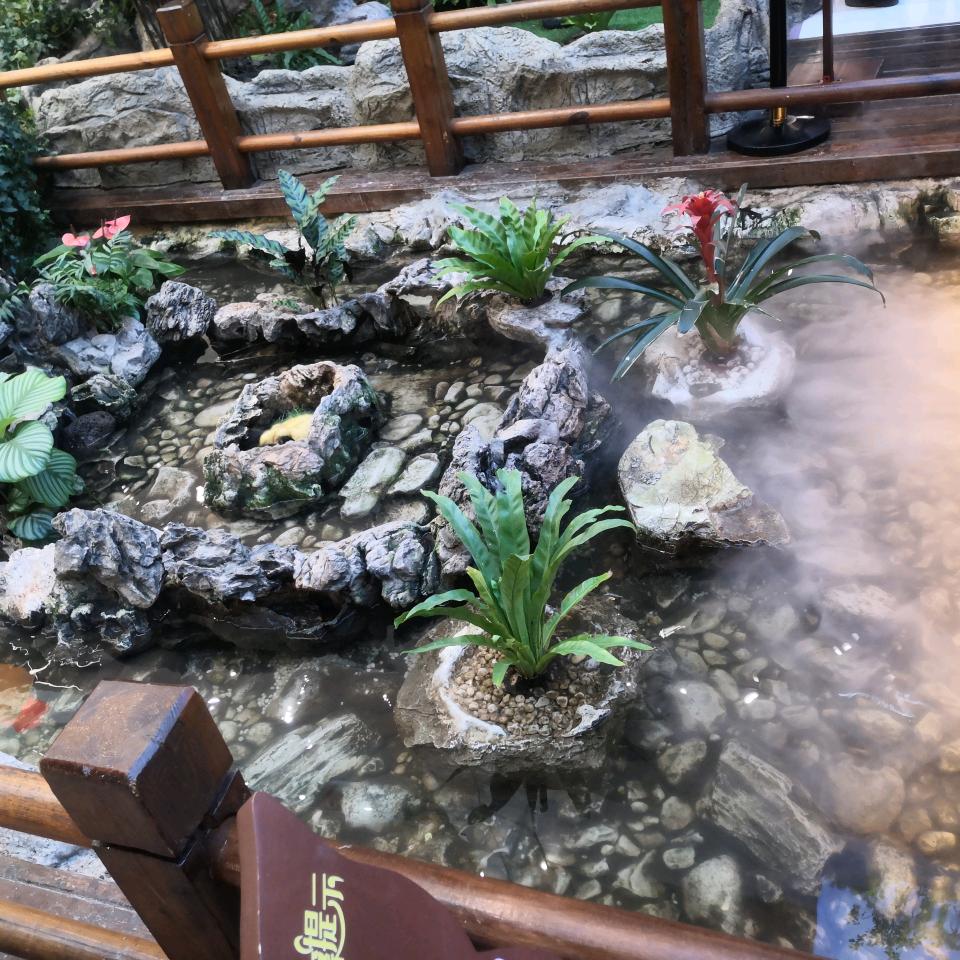 🍃((🌳⥎🌳))🍃