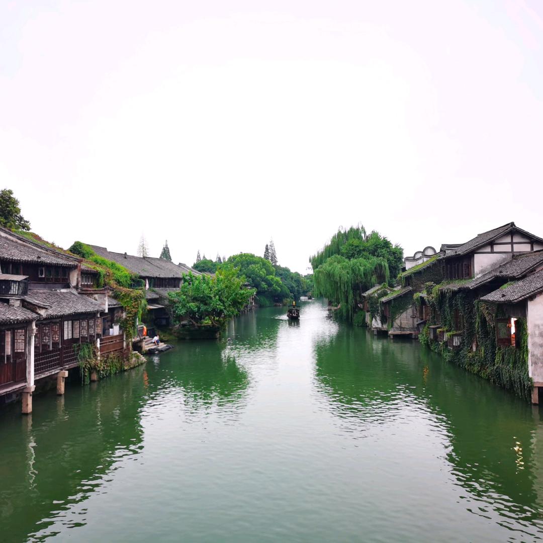 菩提