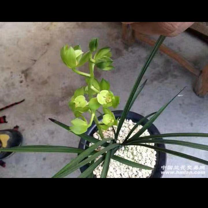 也曾想过再遇见。