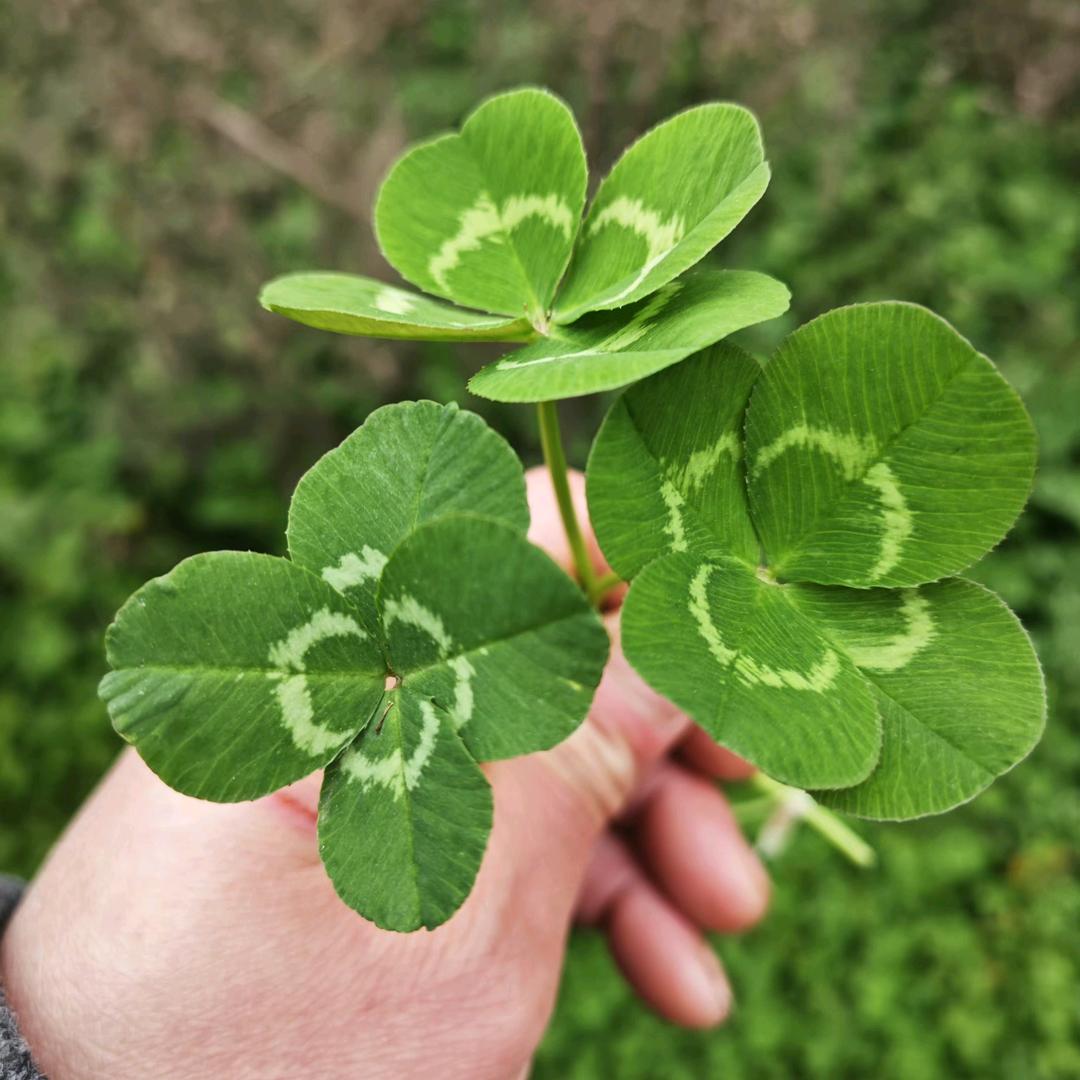 永恒的♥藏♥底এ💕心དྷ༗༻