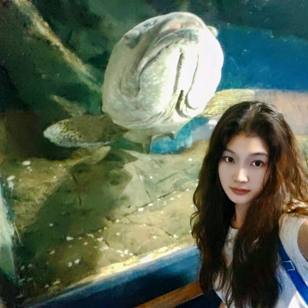 理想是引爆地球