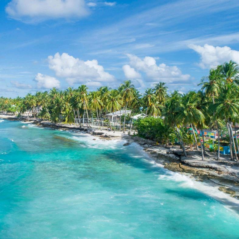 星海暖冬海窝窝