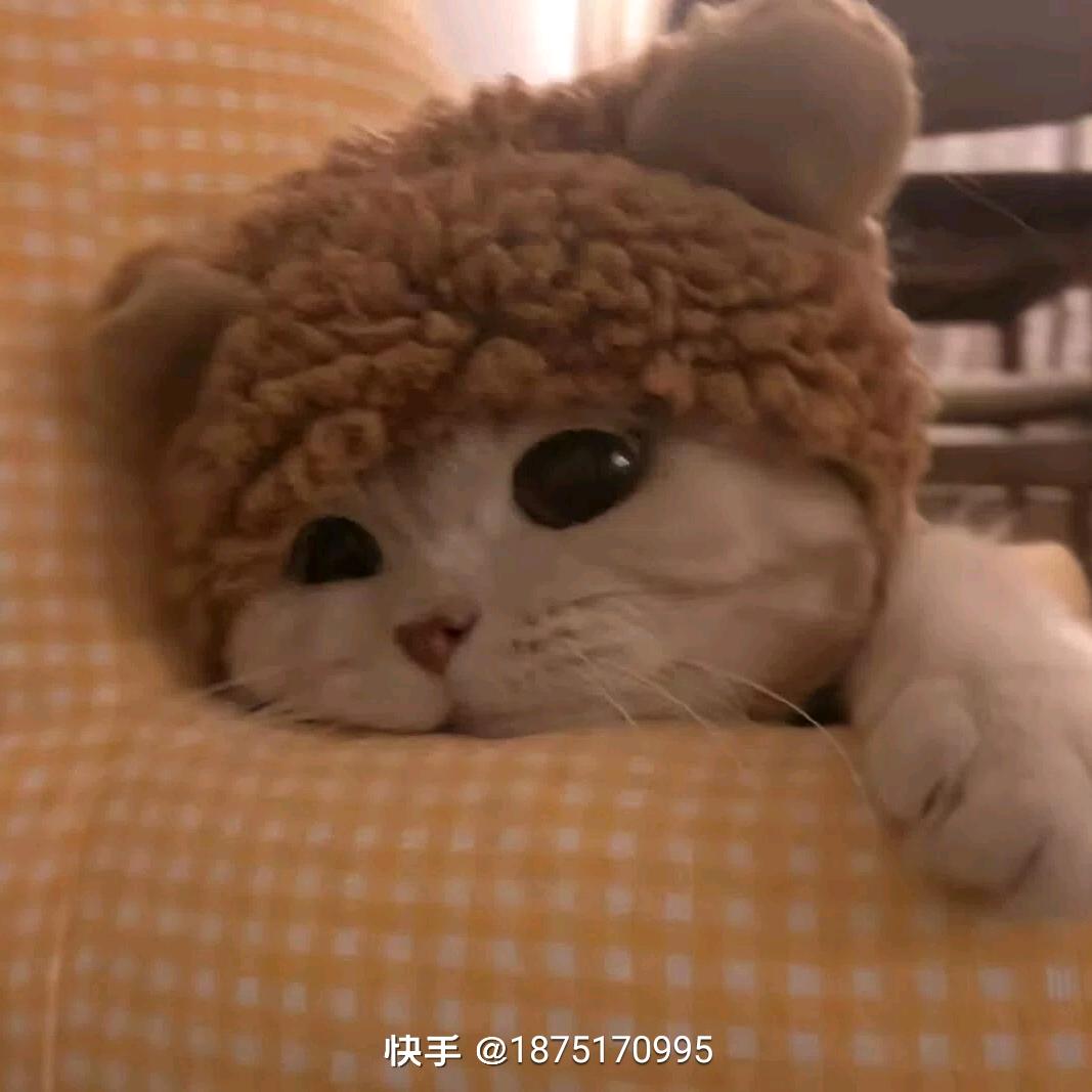 喜无忧
