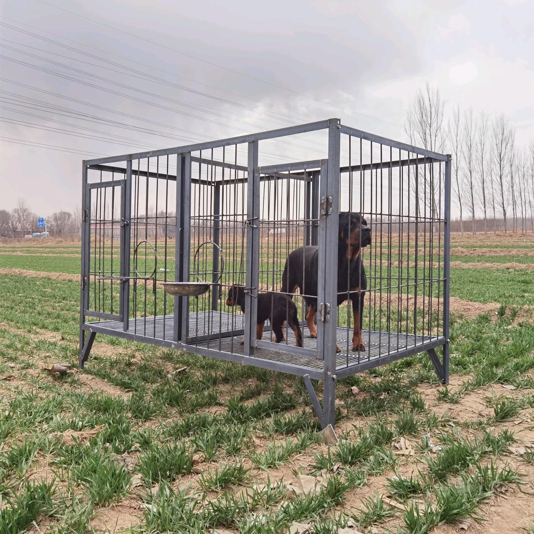 猛犬狗笼