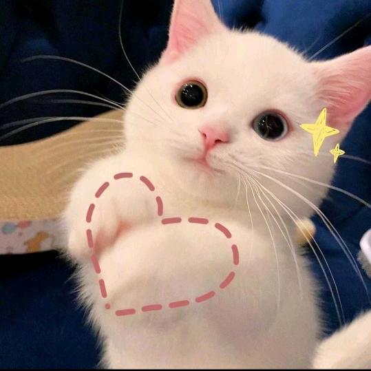 祥ღ♡‿♡祥