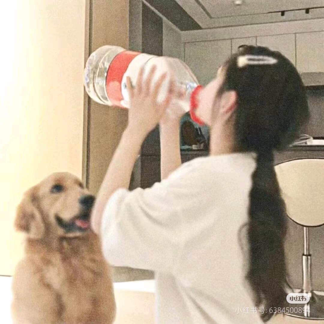 Mik-D