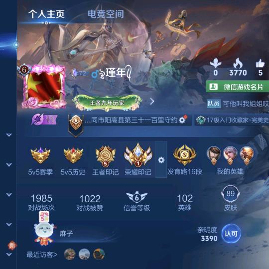 ৡ瑾年ꦿ᭄（王者荣耀）