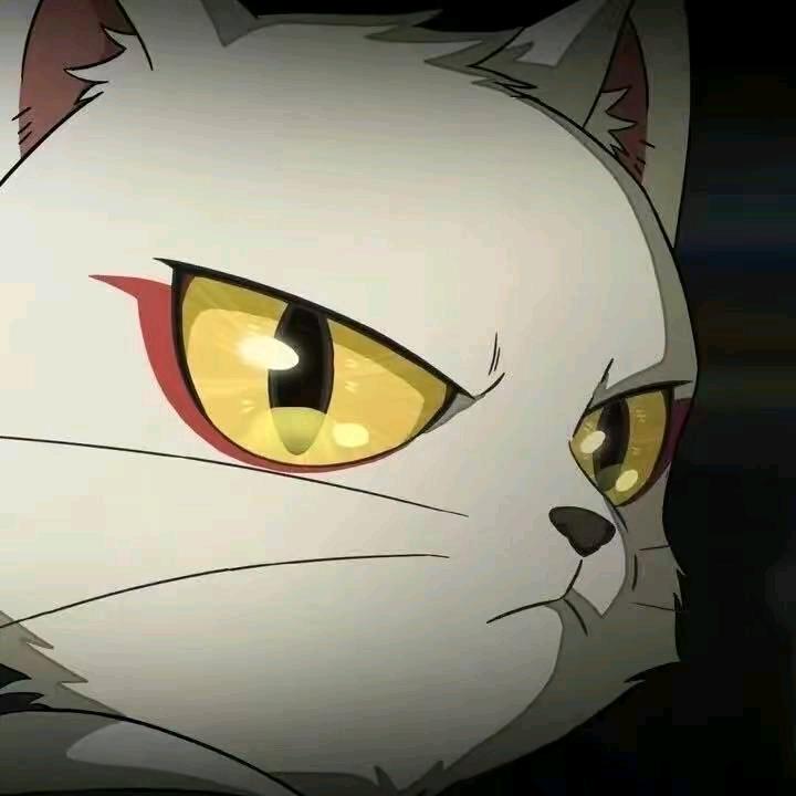 别再期待了🐾