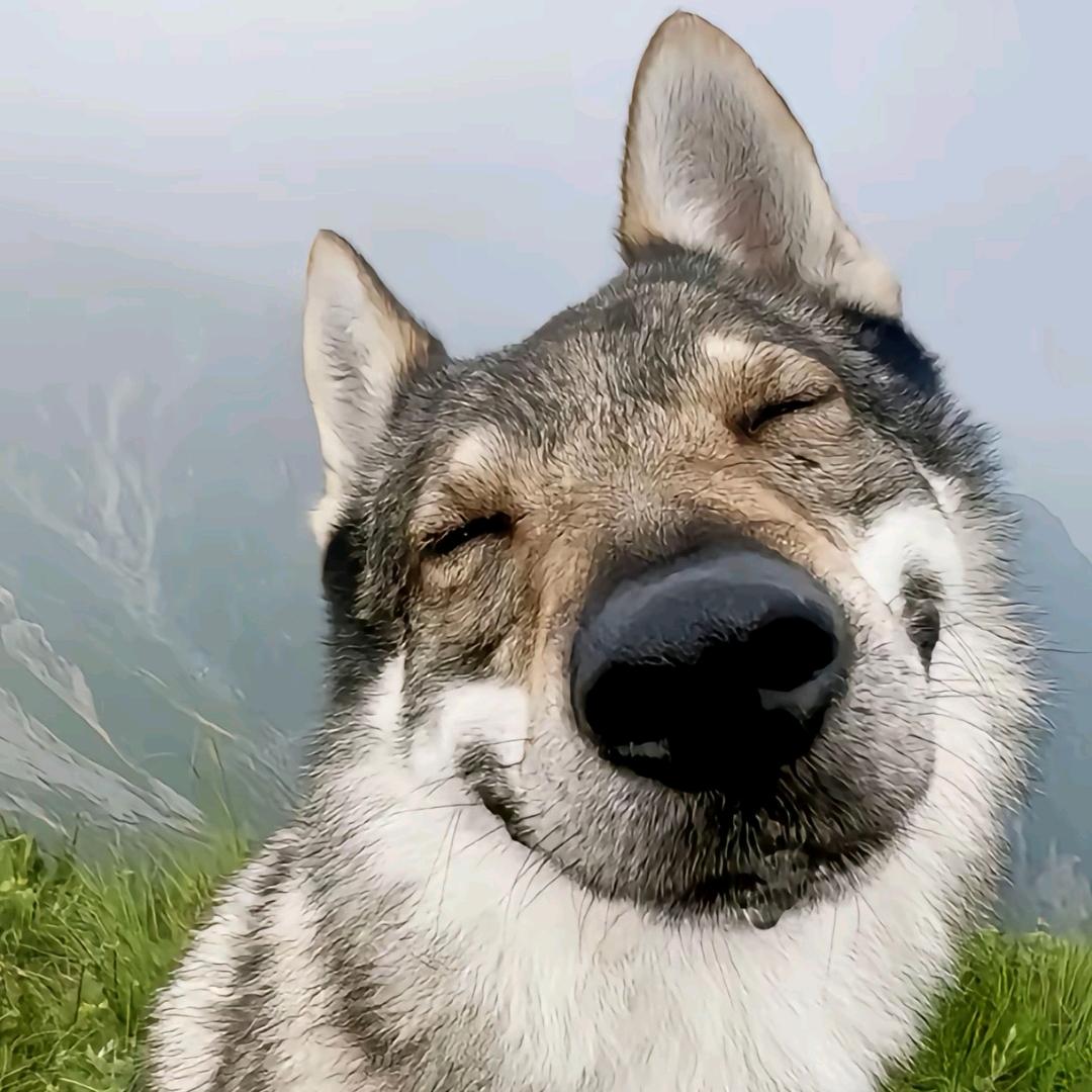 功崇惟志.
