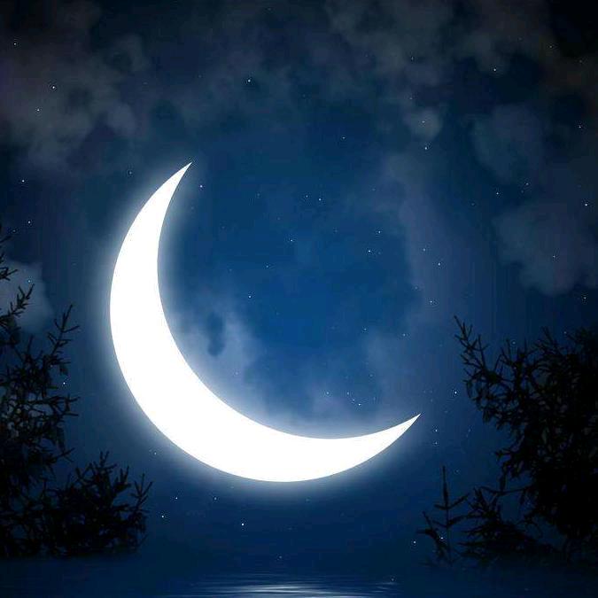 星月💫之夜