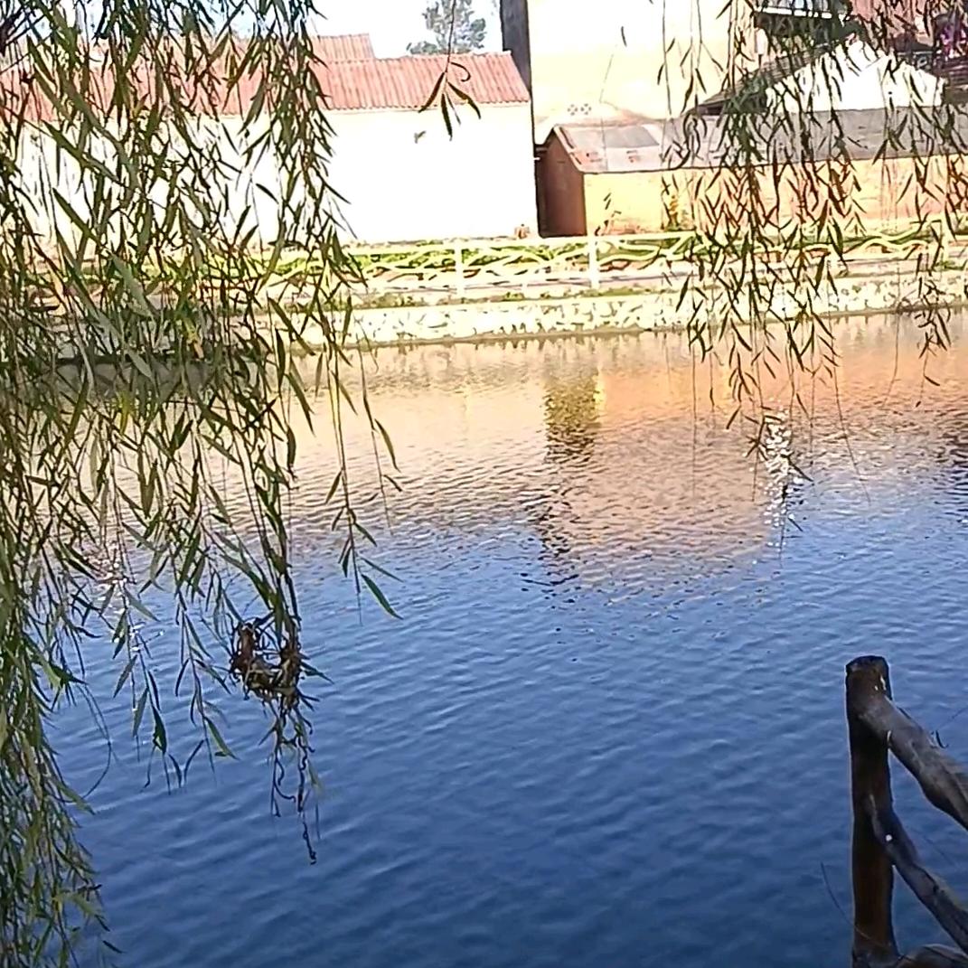 鹿鸣清风计划