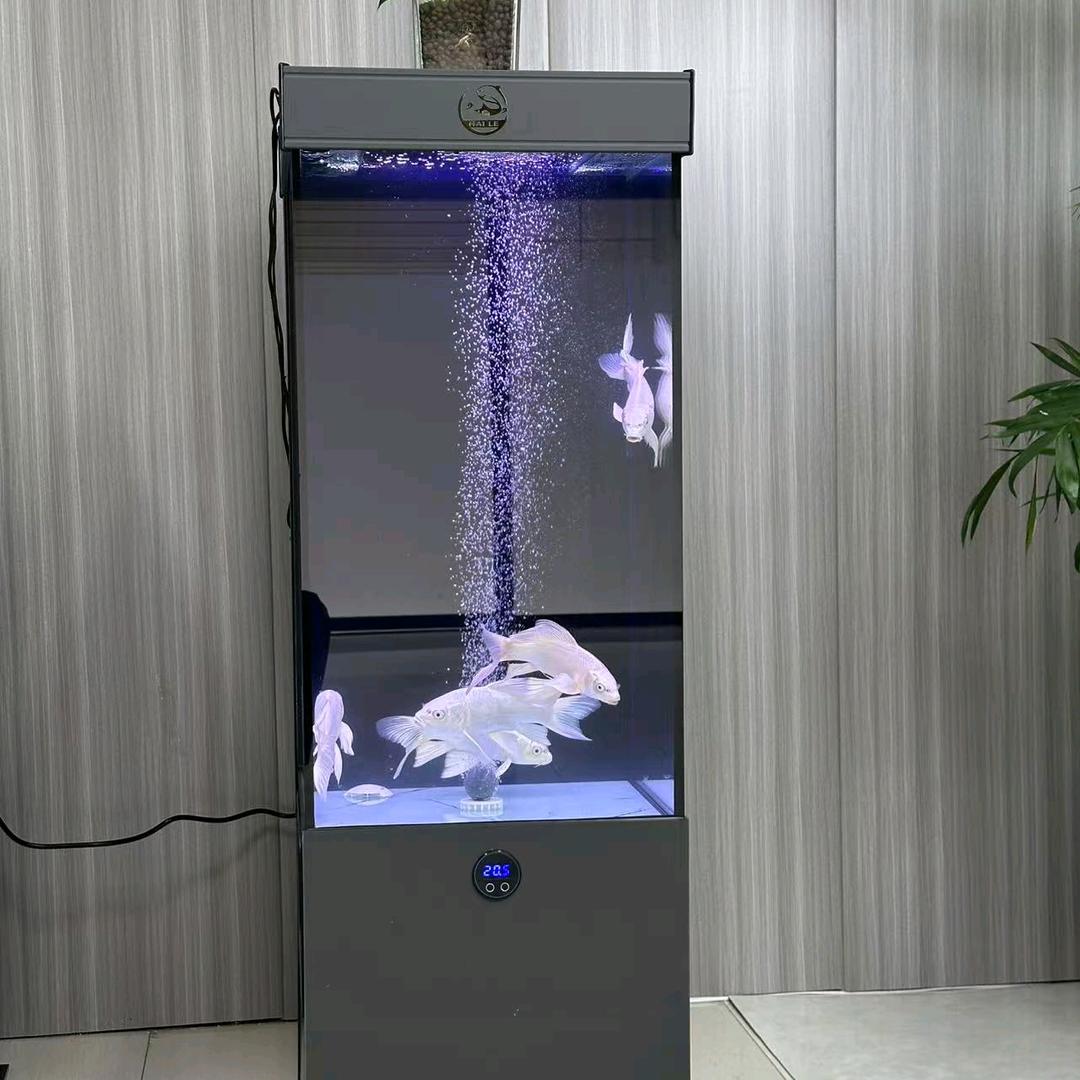 渔你有约水族