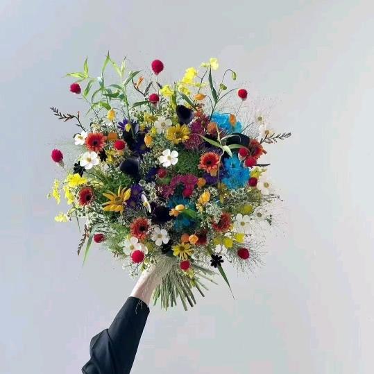 顾念( ﹡ˆoˆ﹡ )