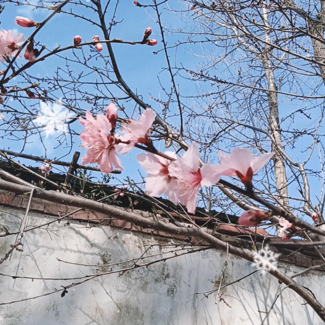 遇见你真好
