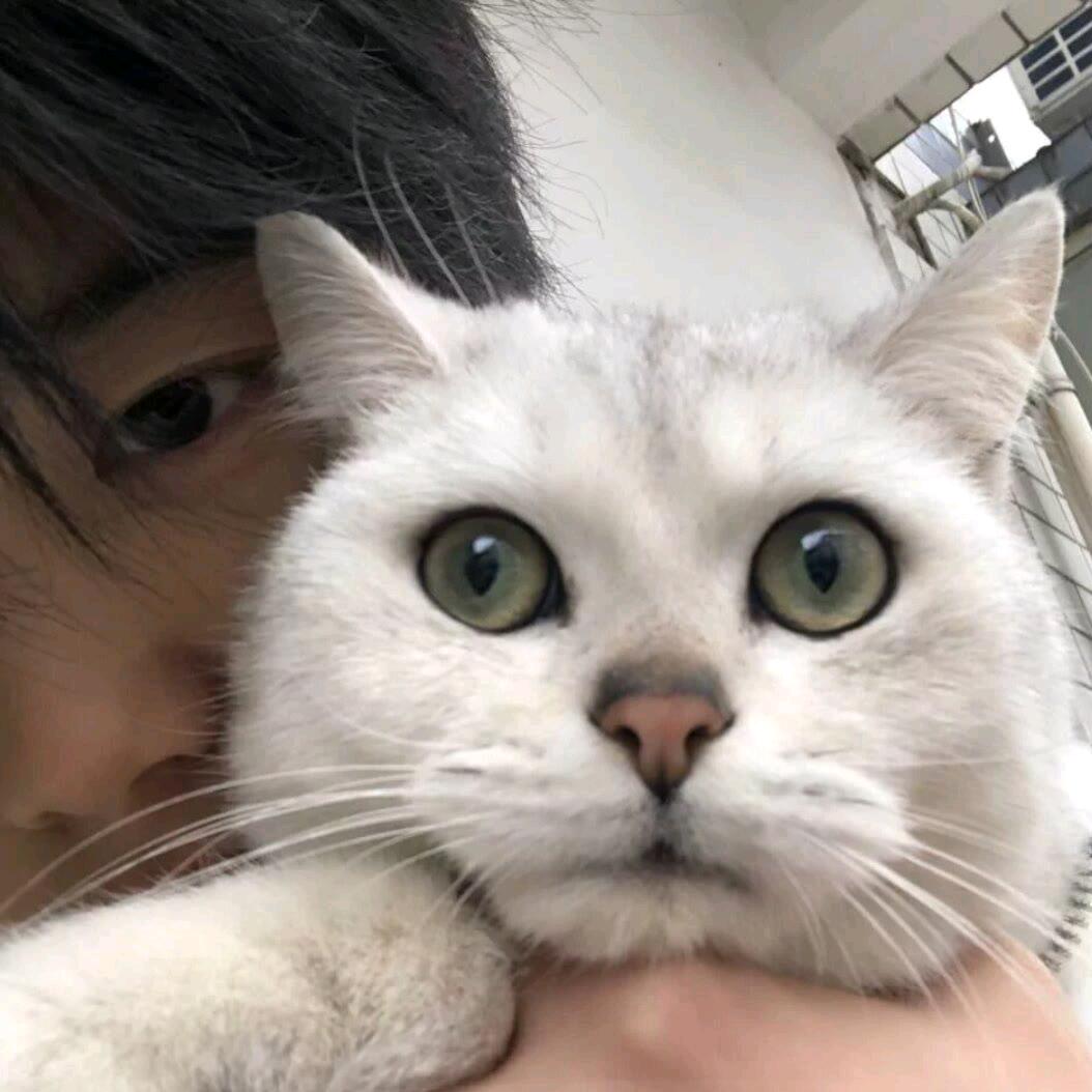 季风