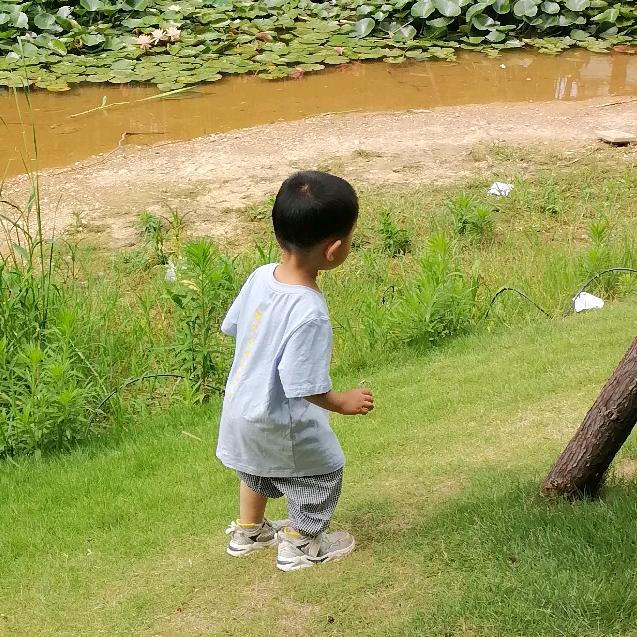 ꒰ঌ虎子妈妈໒꒱