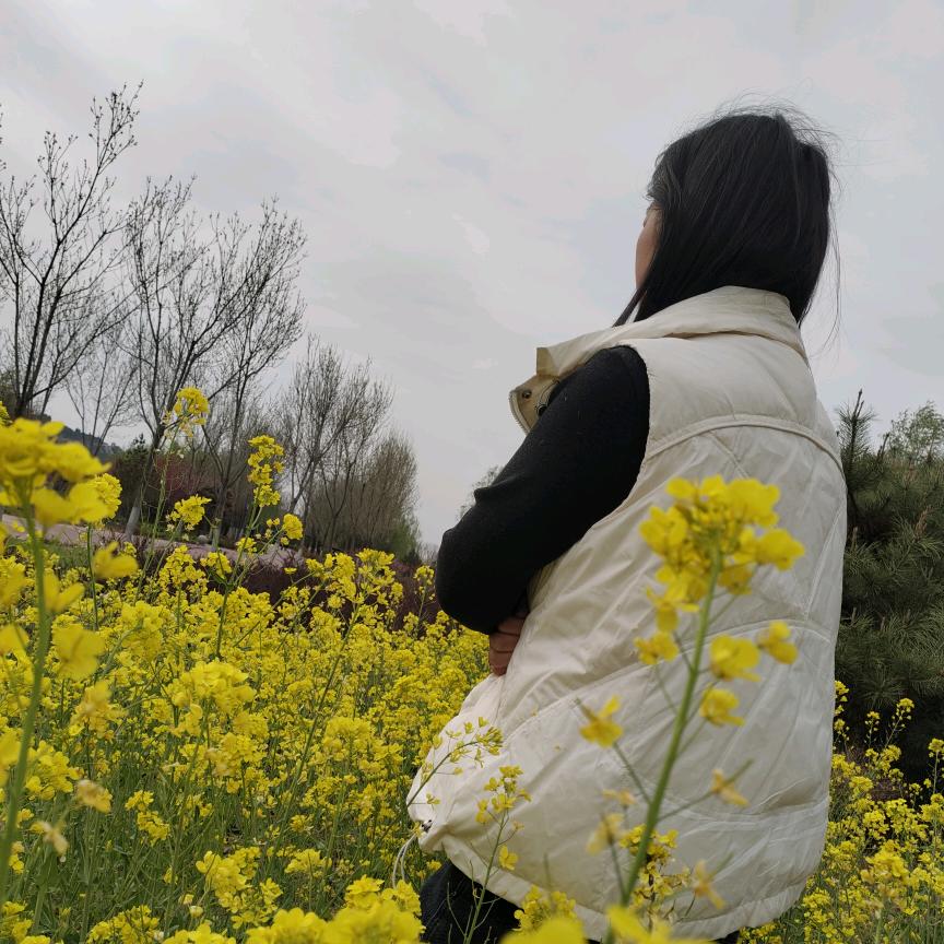败给了现实。