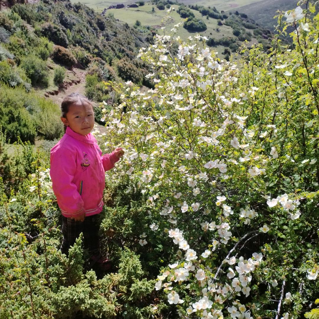 🔥江💤拥🍂珍🌻追