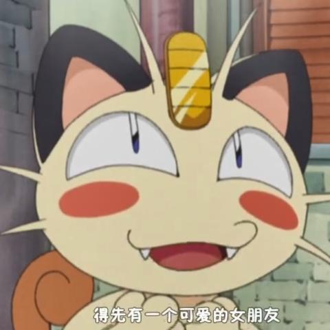 喵喵,