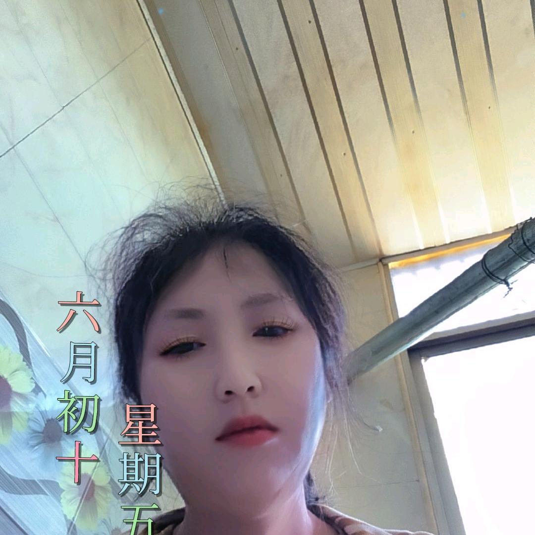向日葵🌻