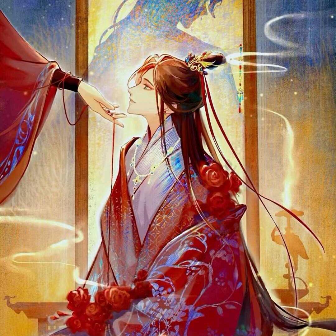 陌陌宝