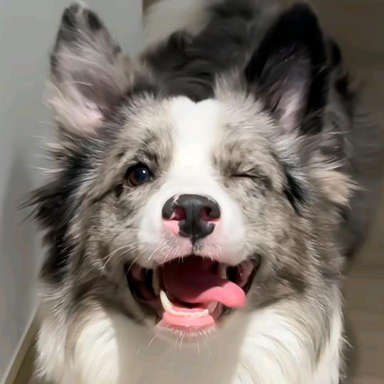 原原十六神启动