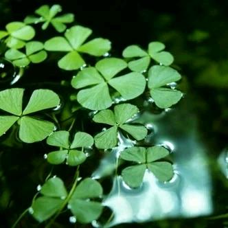 🌈❤️苹果祝福🍎❤️🌈～