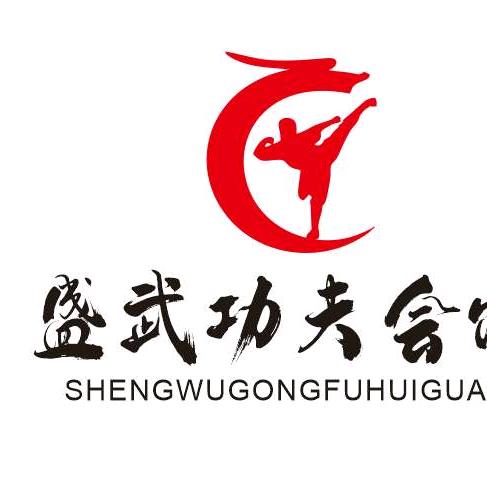 盛武功夫会馆官方号