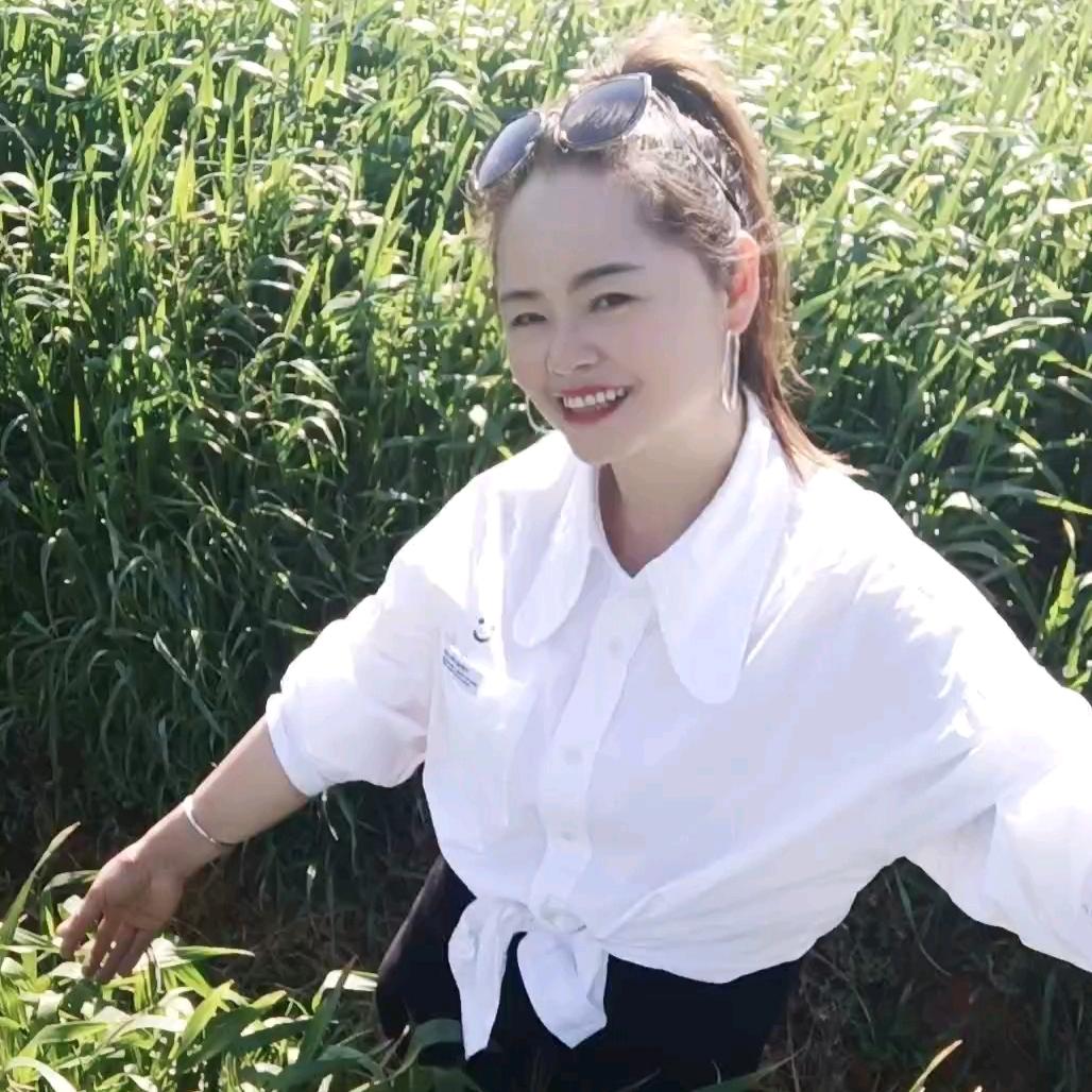 马缨花