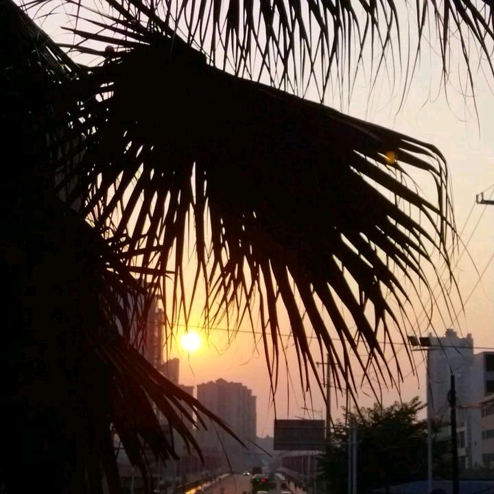 墨染山河