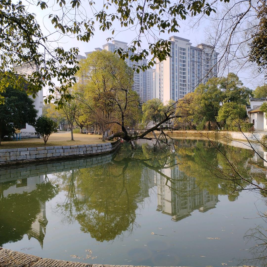 用户22775217小豆丁