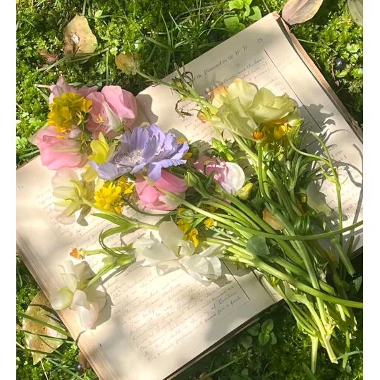 花落微凉的倾城时光，