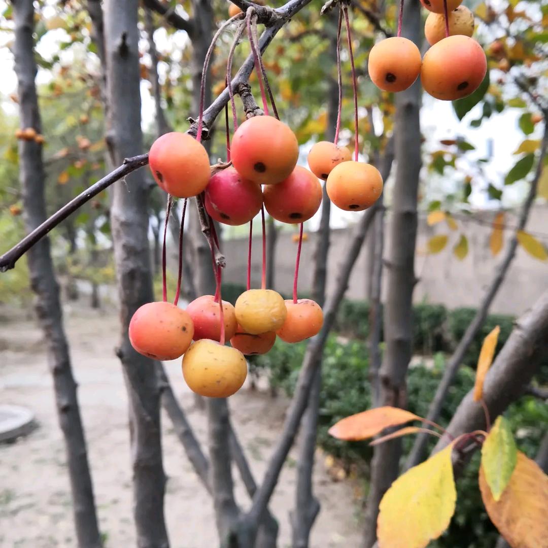 静心随心所欲