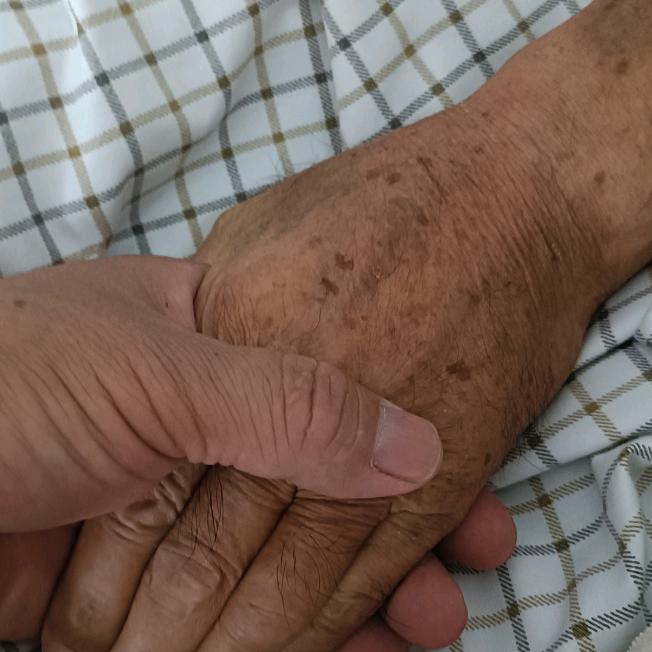 啊正（售梦人）