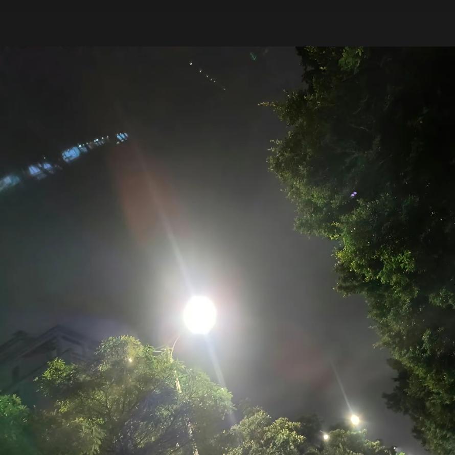 巷子深我要回农村