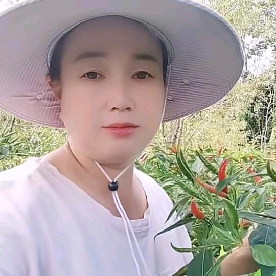 开心王妹。