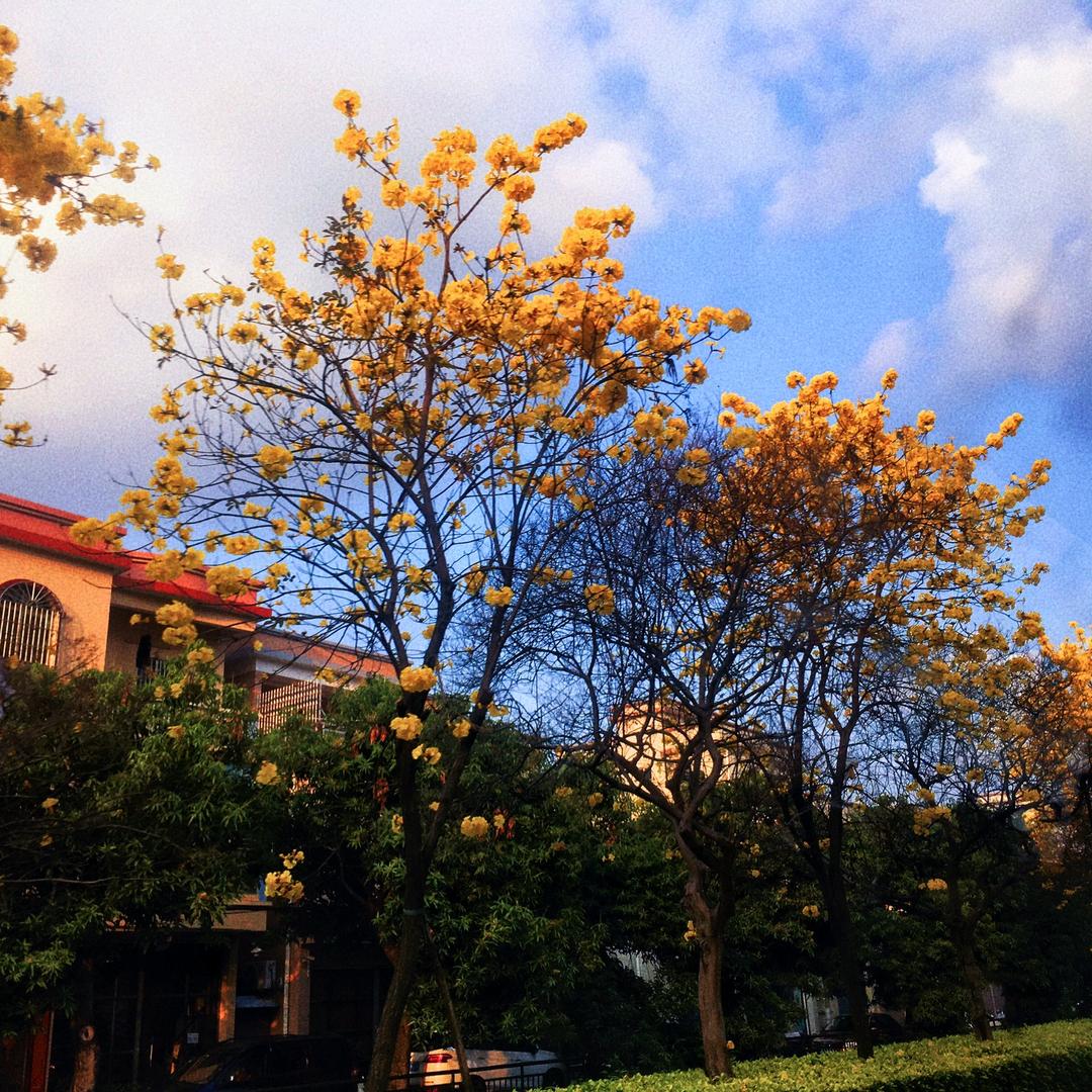 一个有故事的名字