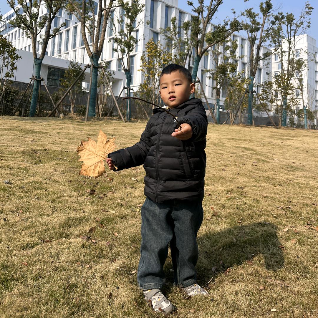 峰诺阳