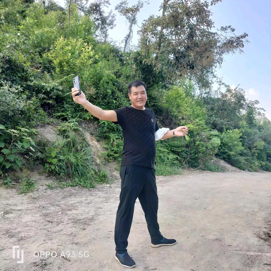 河南宏哥