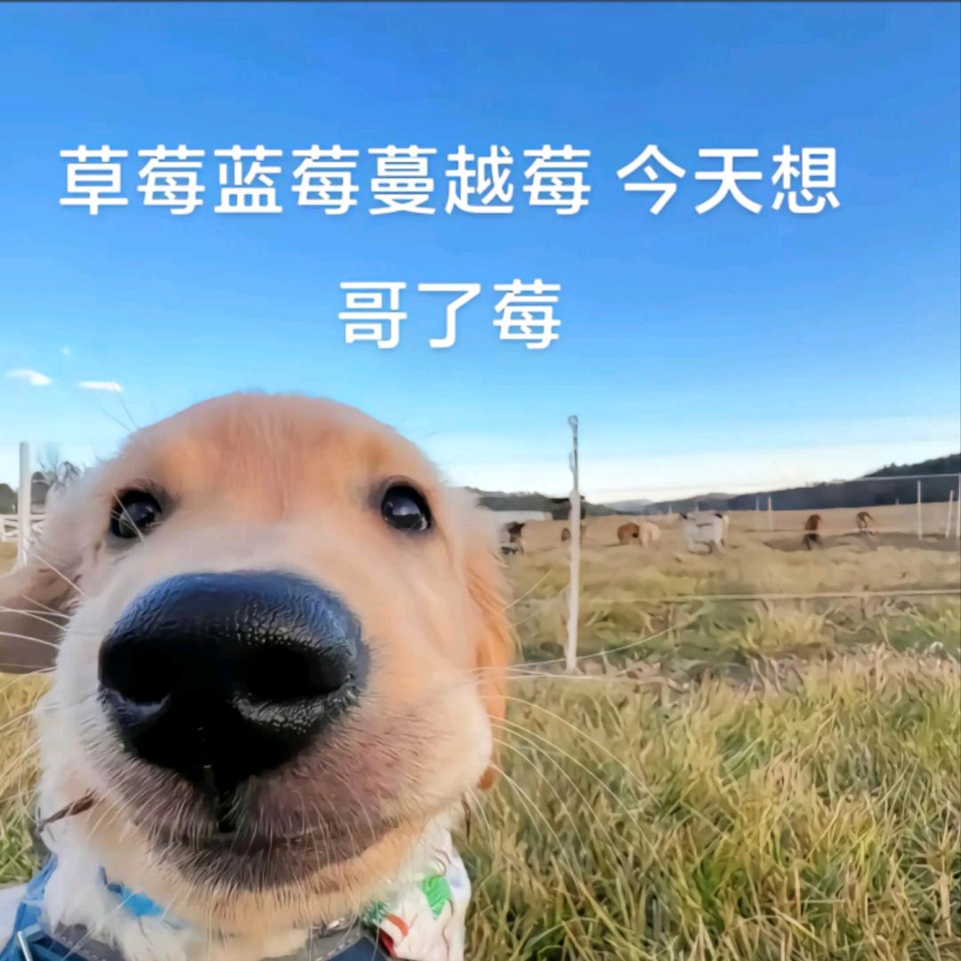 上九天揽悦