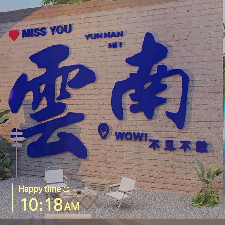 小懒猪