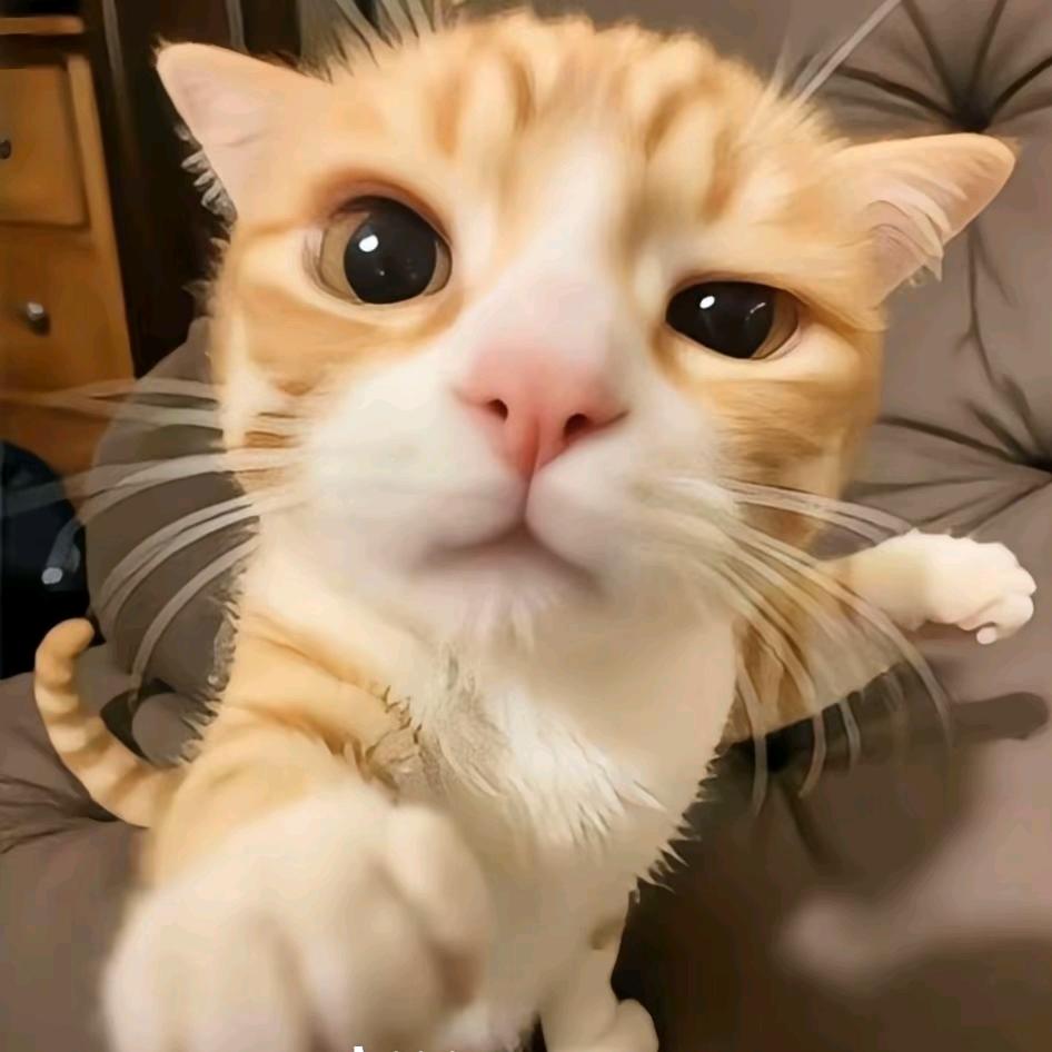 很好相处的女人