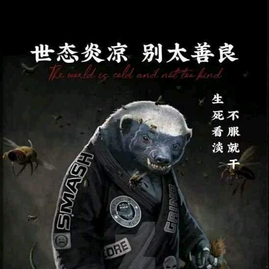 清风皆过客