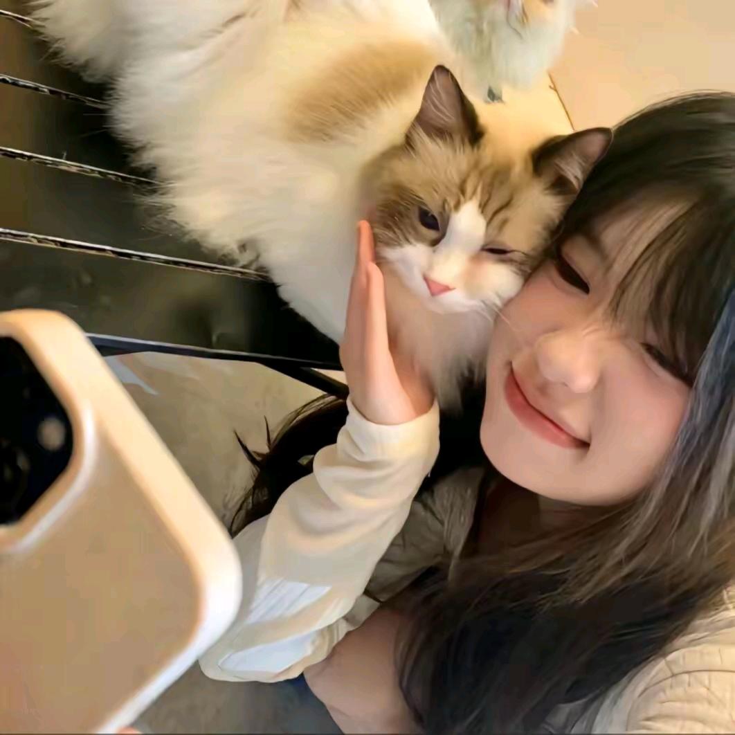 冰美式²