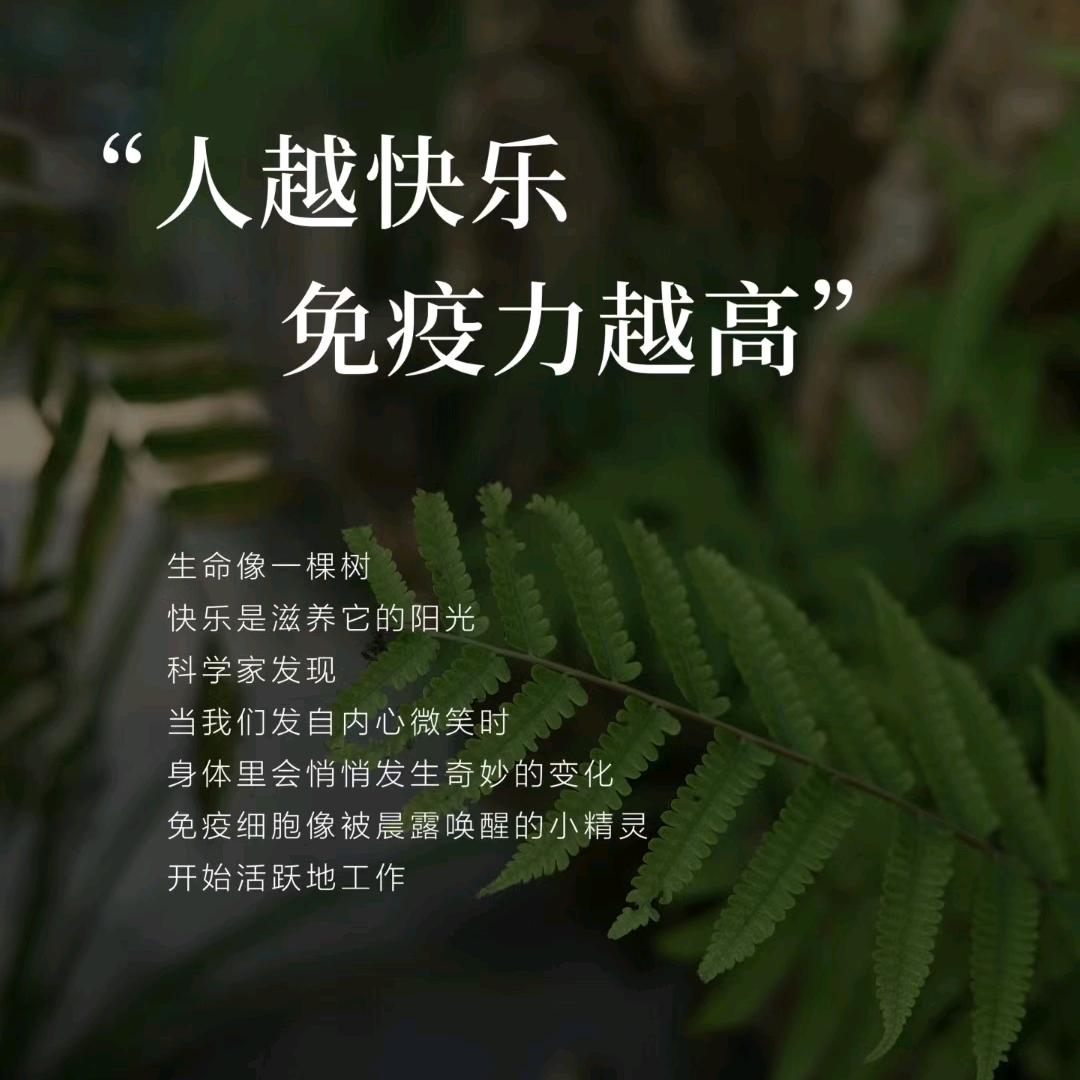 明天真减肥